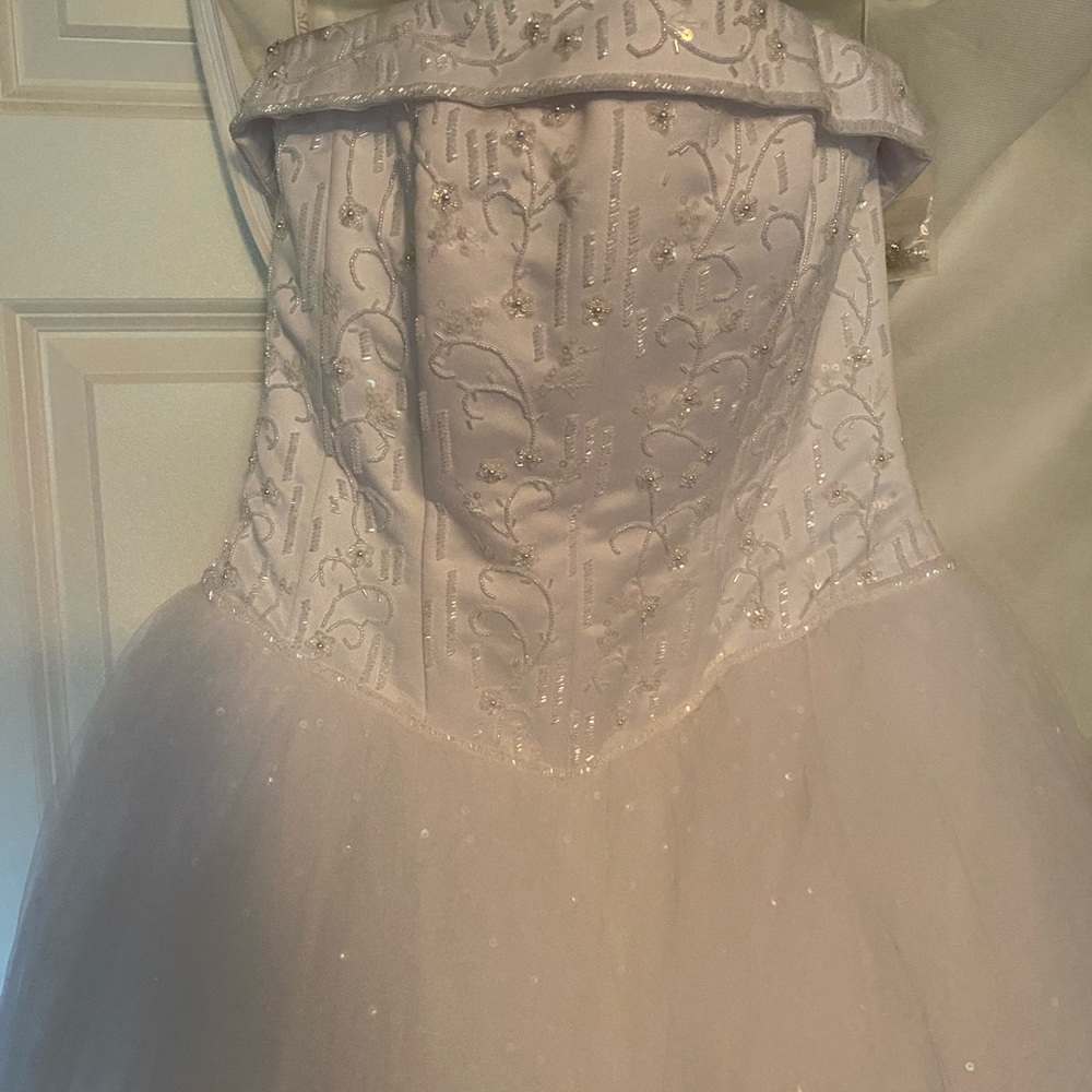 Princess gown, only wore for 2 hours